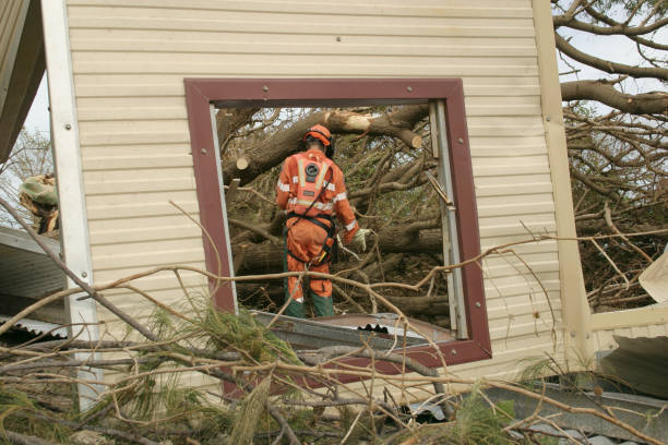 Professional Tree Care Services in Lyndon, KS